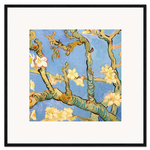 Gerahmter Kunstdruck Mandelblüte Detail