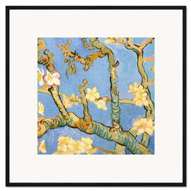 Framed art print Almond blossom detail