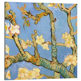 Magnettafel Mandelblüte Detail