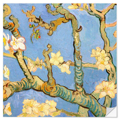 Muursticker Almond blossom detail