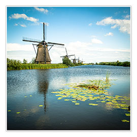 Wall print  Picturesque Kinderdijk - Hannes Cmarits