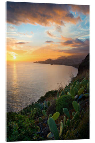 Akrylbilde Bay of Funchal at Sunset, Madeira