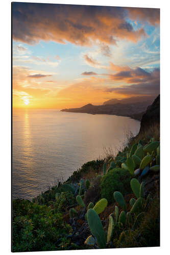 Aluminium print Bay of Funchal at Sunset, Madeira