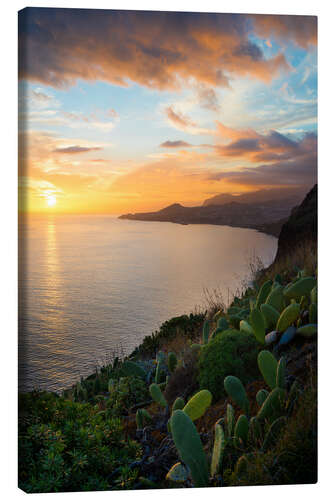 Canvas print Bay of Funchal at Sunset, Madeira