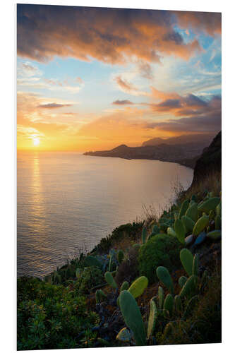 Foam board print Bay of Funchal at Sunset, Madeira