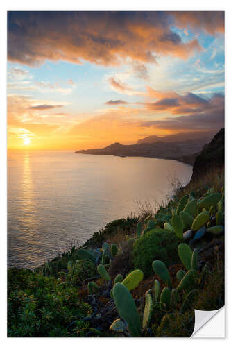 Vinilo para la pared Bay of Funchal at Sunset, Madeira