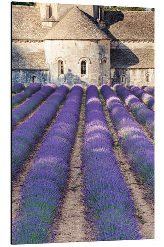 Tableau en aluminium Champs de lavande et la célèbre abbaye Notre-Dame de Sénanque en Provence