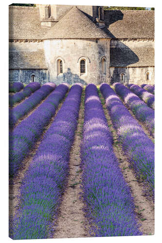 Quadro em tela Lavender field and famous Senanque abbey in Provence, France