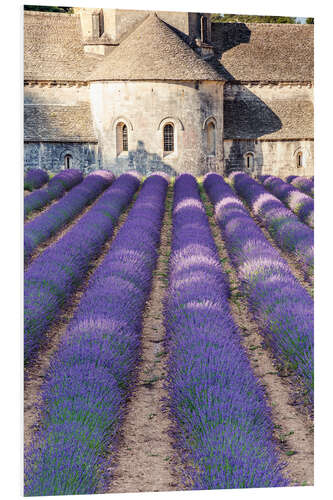 Foam board print Lavender field and famous Senanque abbey in Provence, France