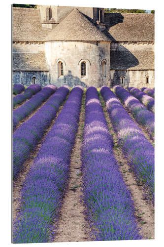 Tableau en plexi-alu Champs de lavande et la célèbre abbaye Notre-Dame de Sénanque en Provence