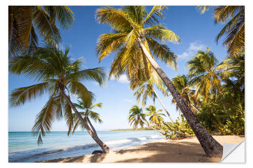 Wandsticker Palmen und Sandstrand in der Karibik, Martinique, Frankreich