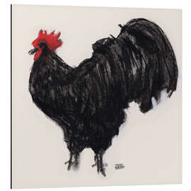 Aluminium print Black cock