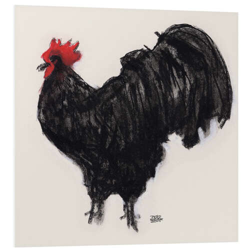 Foam board print Black cock