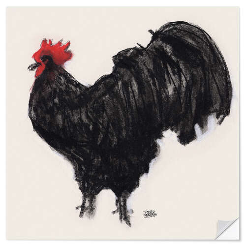 Selvklebende plakat Black cock