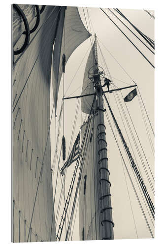 Gallery print Schooner masts in Gloucester