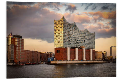 PVC print Elbphilharmonie, Hamburg