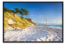Gerahmter Kunstdruck Sommerabend am Darßer Weststrand