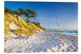 Foam board print Beach at the Baltic Sea