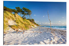 Magnettafel Sommerabend am Darßer Weststrand