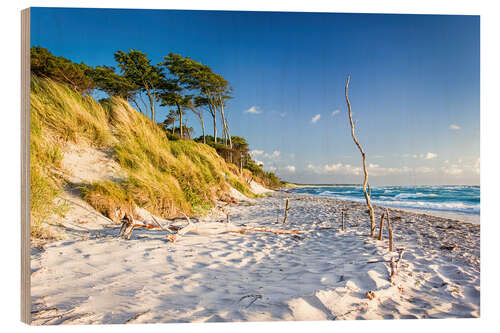 Wood print Beach at the Baltic Sea