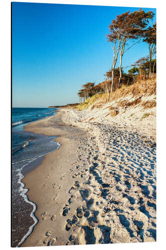 Alumiinitaulu Baltic Sea Beach