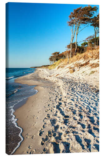 Canvas print Baltic Sea Beach