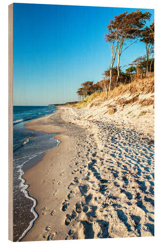 Quadro de madeira Baltic Sea Beach