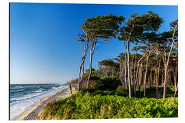 Cuadro de aluminio Summerday at the Baltic Sea