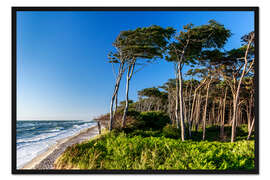 Gerahmter Kunstdruck Ostseeküste: Sommertag am Weststrand