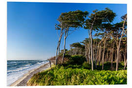 PVC print Summerday at the Baltic Sea