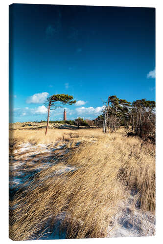 Canvas print Dunes and Lighthouse at the Baltic Sea