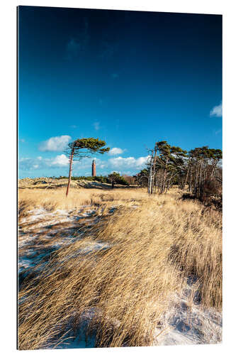 Galleriprint Dunes and Lighthouse at the Baltic Sea