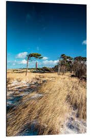 Magnettafel Ostseeküste: Dünenlandschaft am Darßer Ort