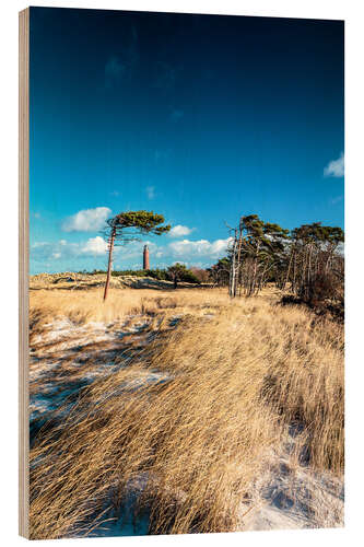 Wood print Dunes and Lighthouse at the Baltic Sea