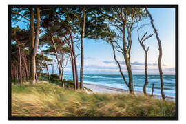 Gerahmter Kunstdruck Abendstimmung am Weststrand (auf dem Darß)