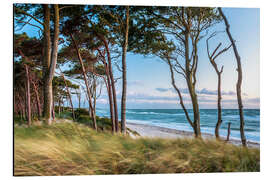 Magnettafel Abendstimmung am Weststrand (auf dem Darß)