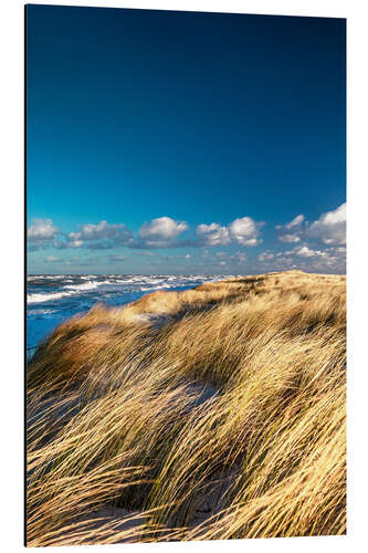 Tableau en aluminium Dunes sur la côte baltique