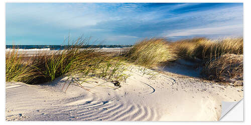 Selvklebende plakat Sand Dunes at the Beach II