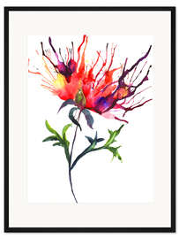 Gerahmter Kunstdruck Pfingstrose