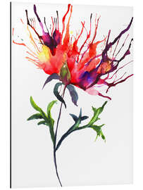 Magnettafel Pfingstrose