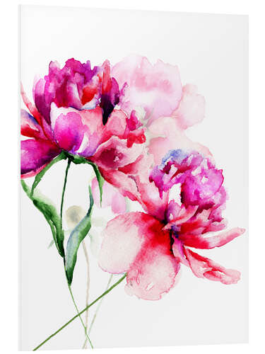 Foam board print Beautiful peony flowers