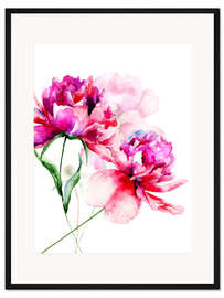Gerahmter Kunstdruck Schöne Pfingstrosen in Aquarell