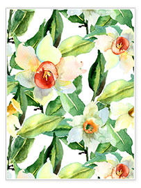 Plakat Daffodils