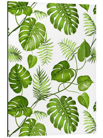 Aluminium print Monstera and palms