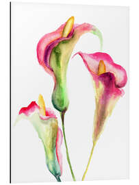 Tableau en aluminium Fleurs de calla