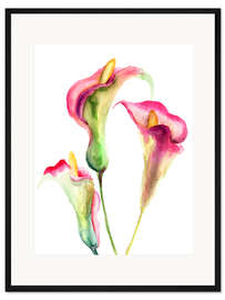 Gerahmter Kunstdruck Calla-Lilien