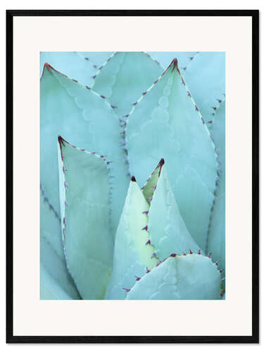 Gerahmter Kunstdruck Agave I