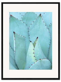 Gerahmter Kunstdruck Agave I