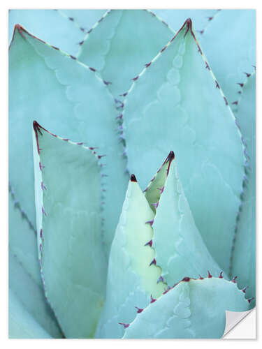 Vinilo para la pared Agave I