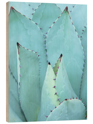 Wood print Agave I